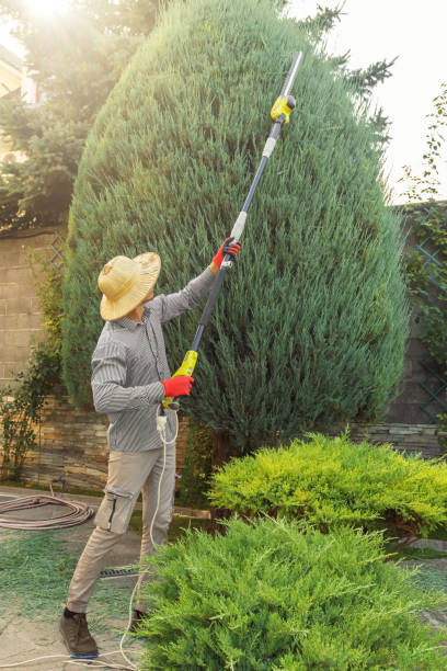 Best Lawn Disease Treatment  in Fort Deposit, AL